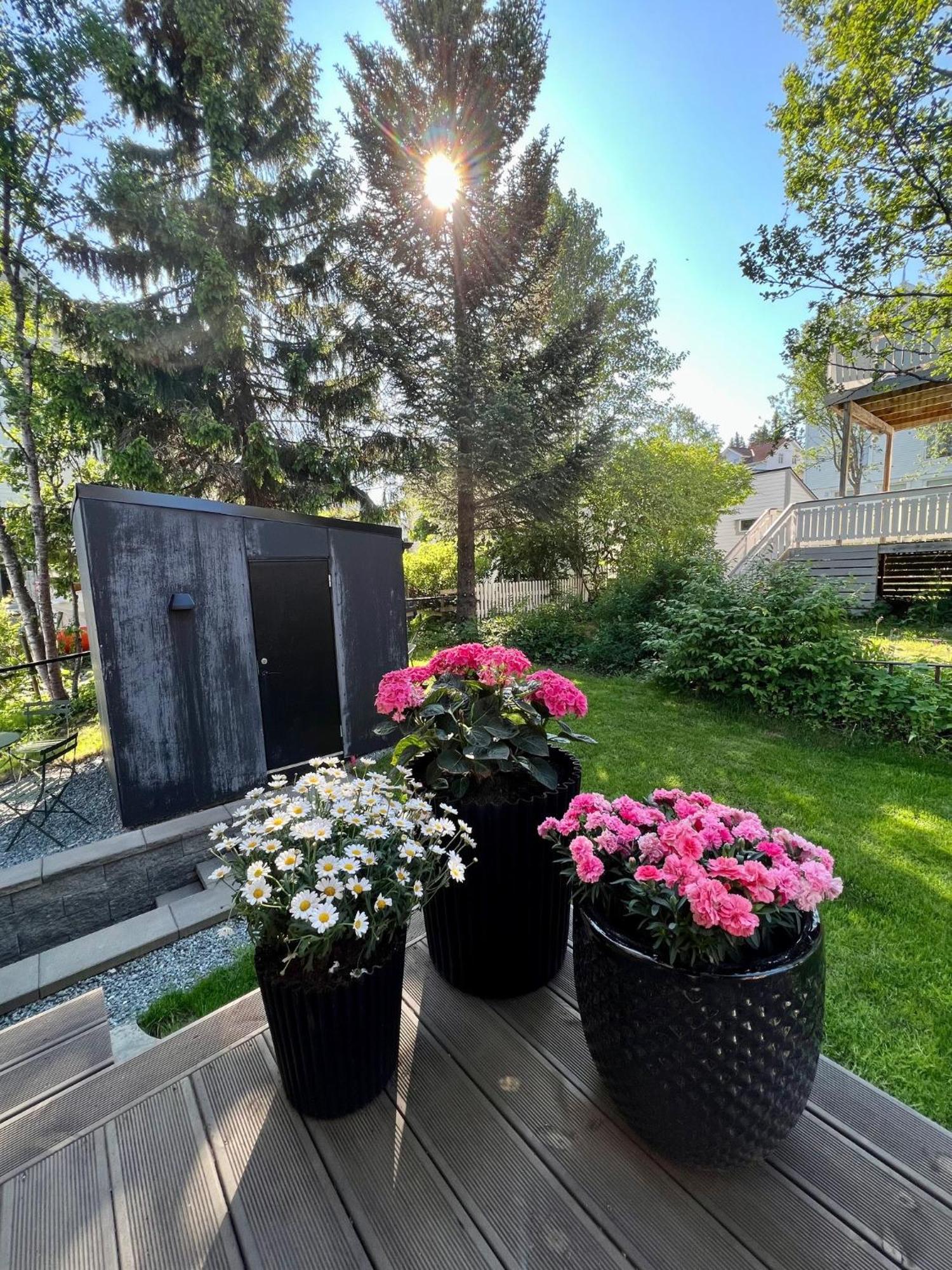 Apartment Modern And In Quiet Street Tromso